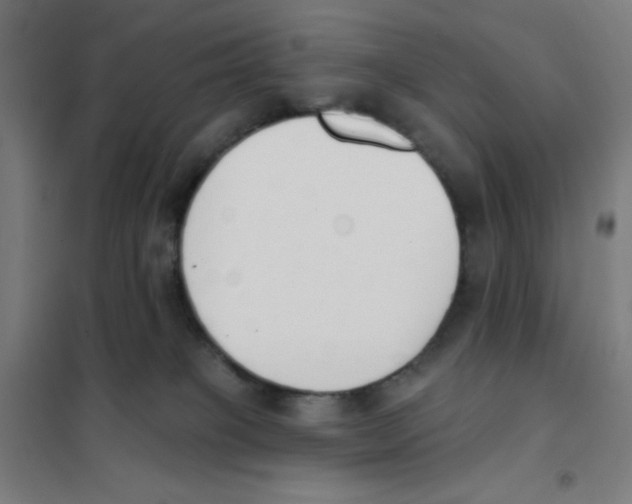 X0000101400085200808041051