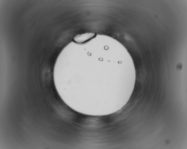 X0000101400086200808041051