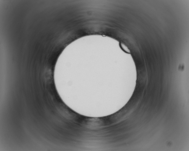 X0000101400087200808041051