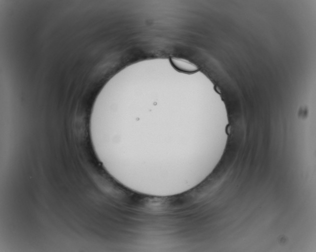 X0000101400088200808041051