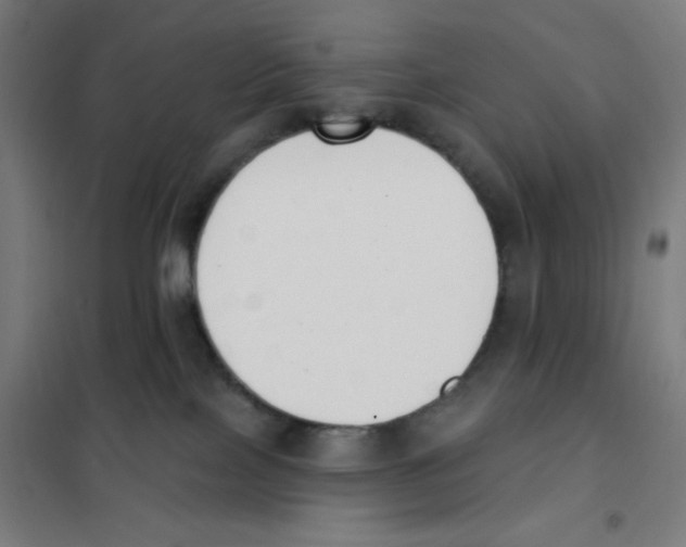 X0000101400089200808041051