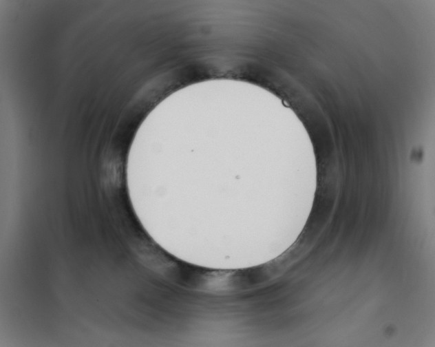 X0000101400090200808041051