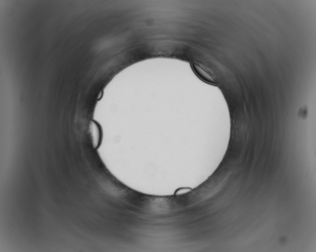 X0000101400091200808041051