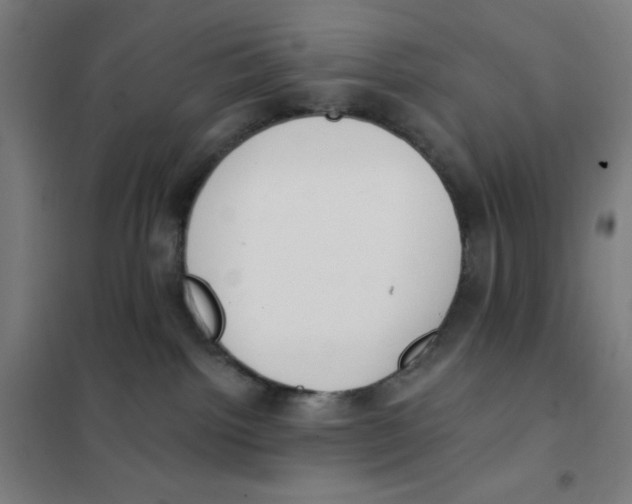 X0000101400092200808041051