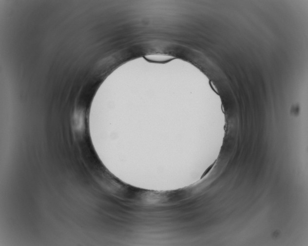 X0000101400094200808041051