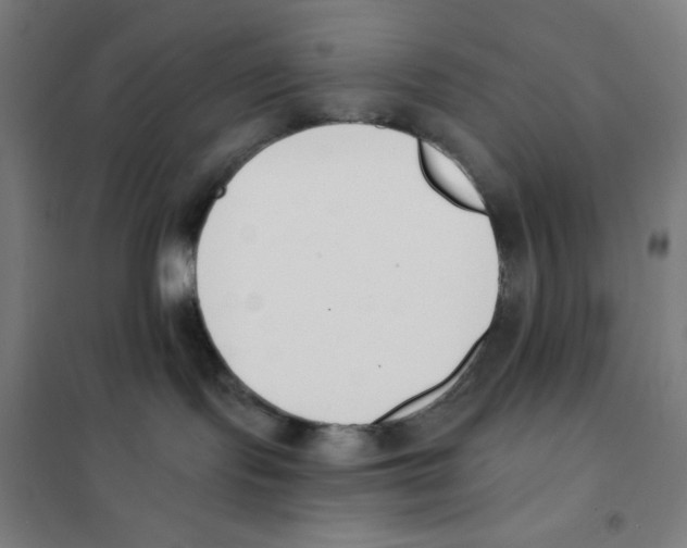 X0000101400095200808041051