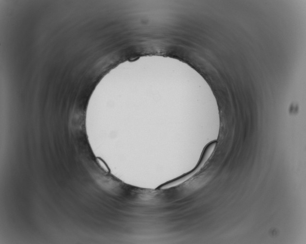 X0000101400096200808041051