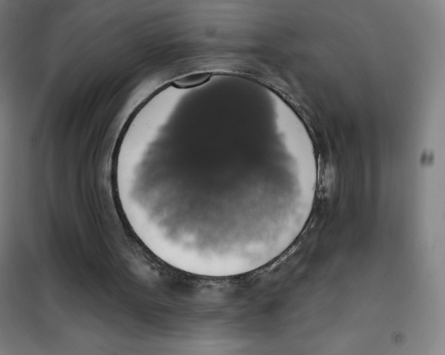 X0000101400099200808041050