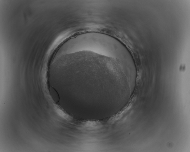 X0000101400101200808041050