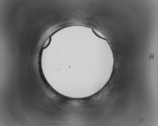 X0000101400103200808041050