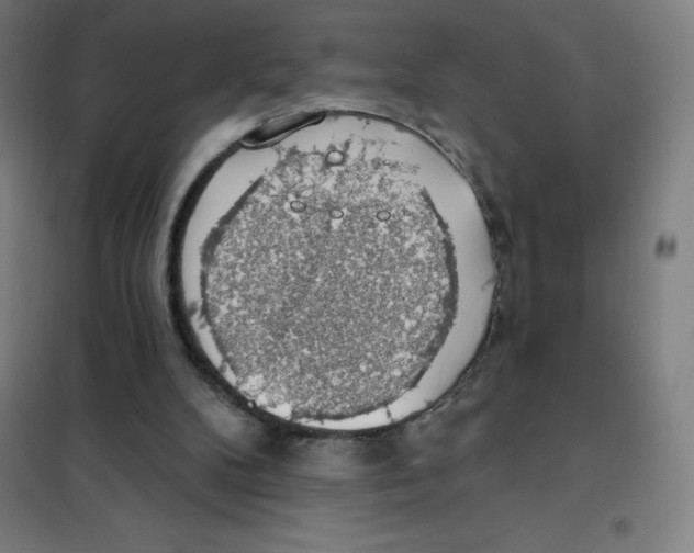 X0000101400104200808041050