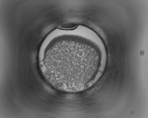 X0000101400105200808041050