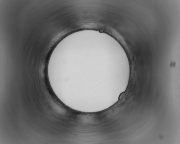 X0000101400106200808041050