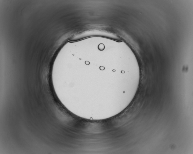 X0000101400107200808041050