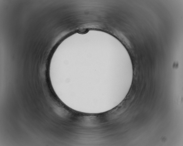 X0000101400108200808041050