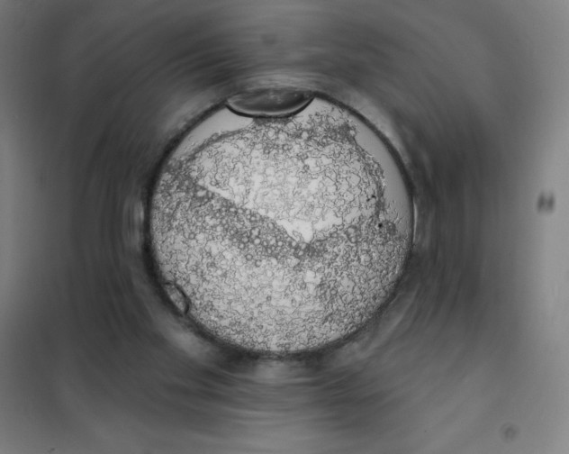 X0000101400109200808041050