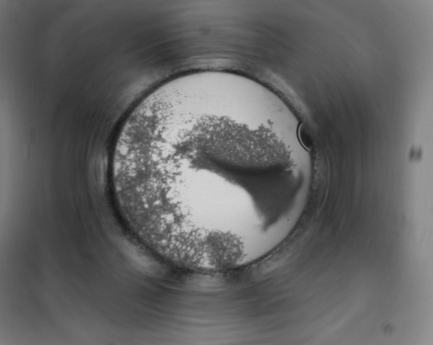 X0000101400110200808041050