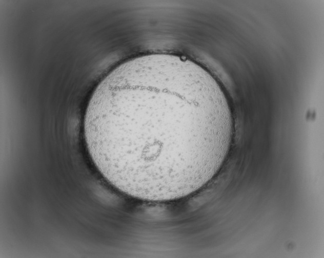 X0000101400113200808041050