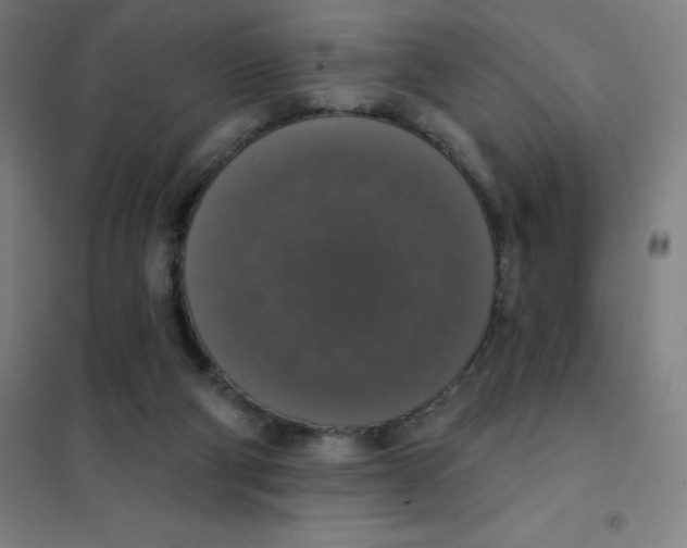 X0000101400114200808041050