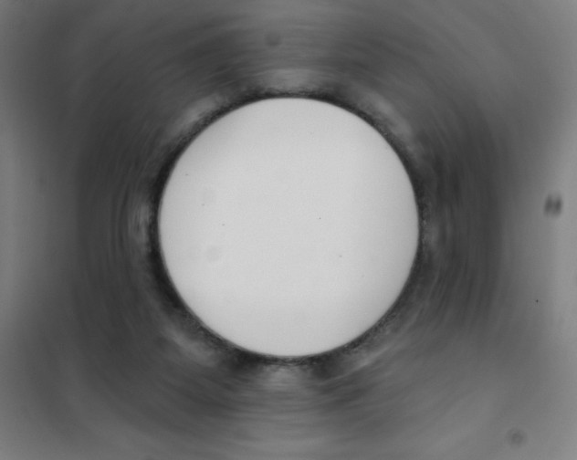 X0000101400115200808041050