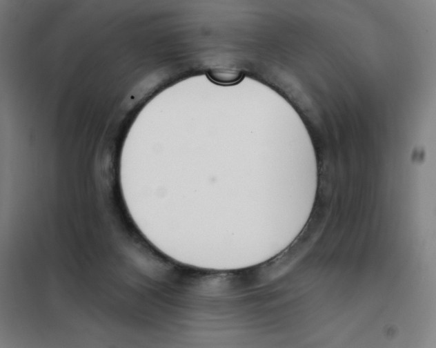 X0000101400116200808041050