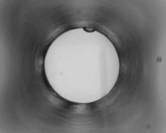 X0000101400118200808041050