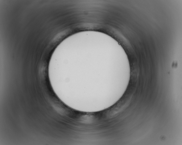 X0000101400119200808041050