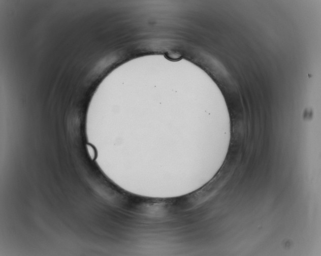 X0000101400120200808041050