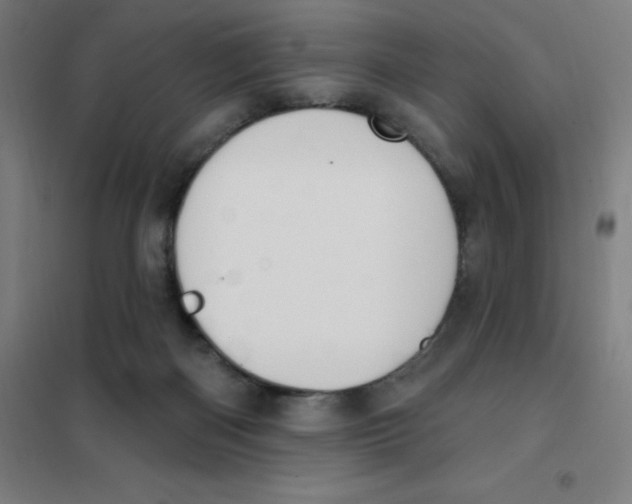 X0000101400122200808041050