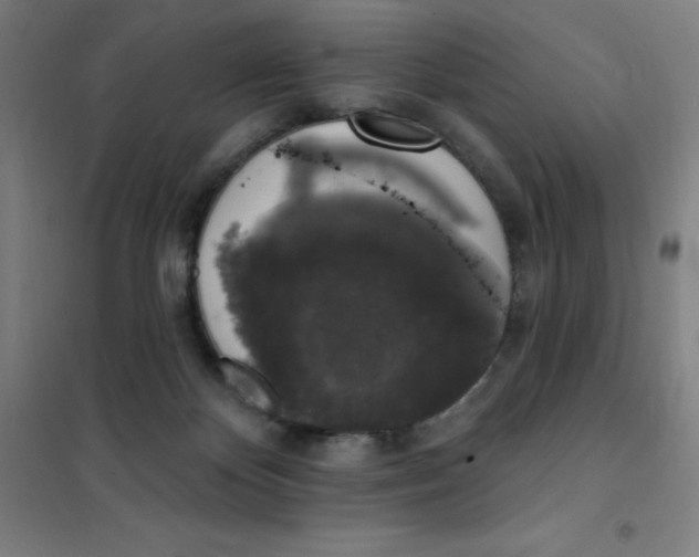 X0000101400124200808041050