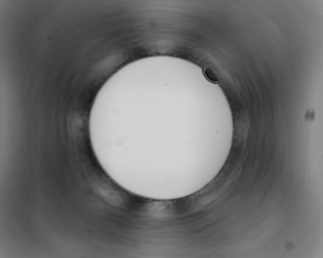 X0000101400126200808041050