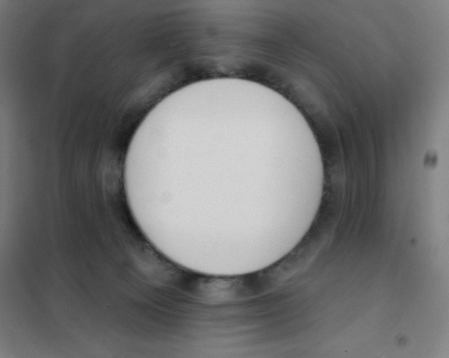 X0000101400129200808041050