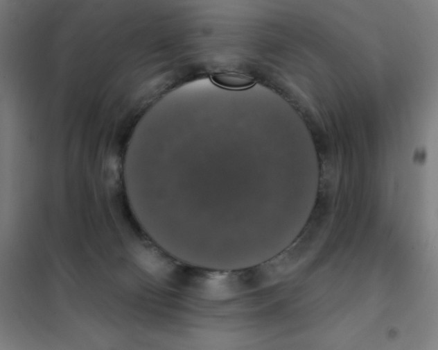 X0000101400130200808041050