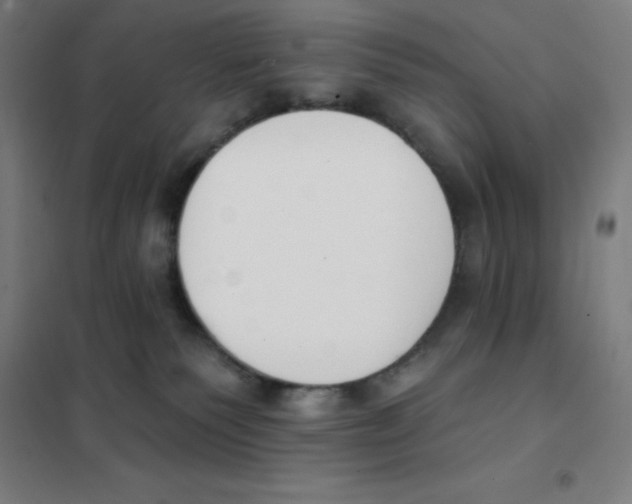 X0000101400135200808041050