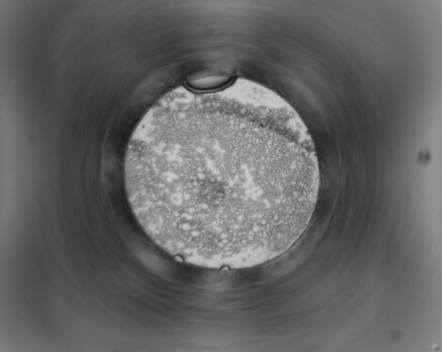 X0000101400136200808041050