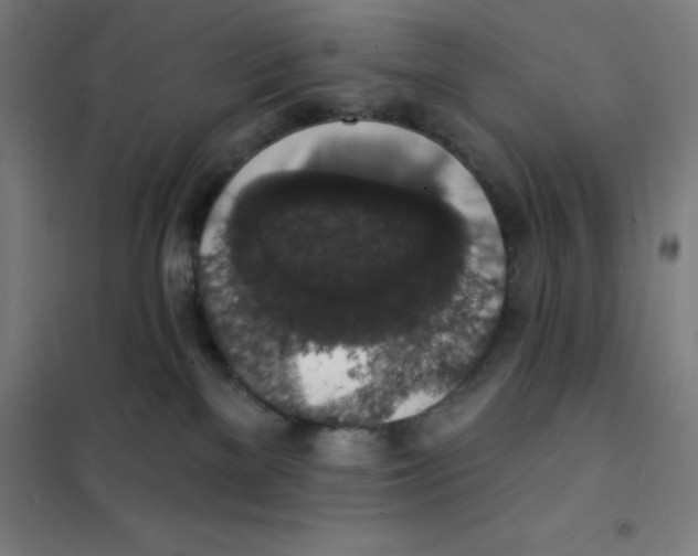 X0000101400137200808041050