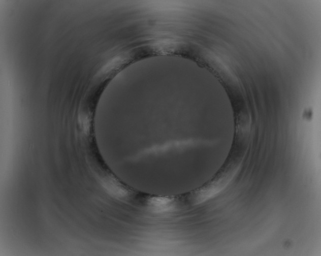 X0000101400139200808041050