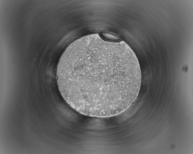 X0000101400140200808041050