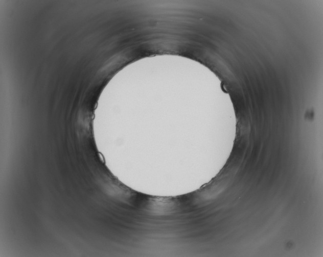 X0000101400141200808041050