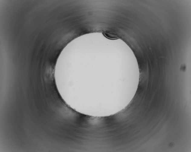 X0000101400142200808041050