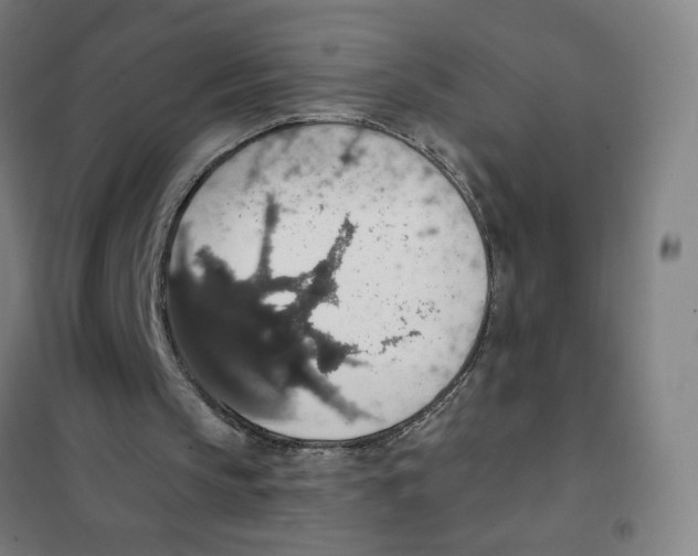 X0000101400145200808041049