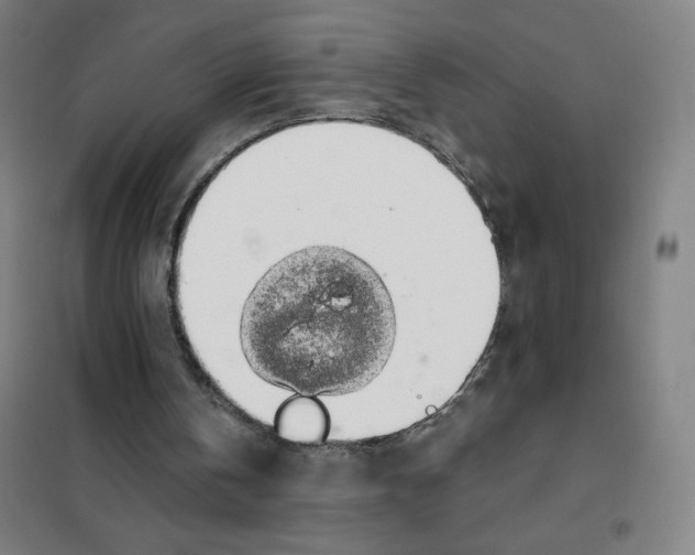 X0000101400146200808041049