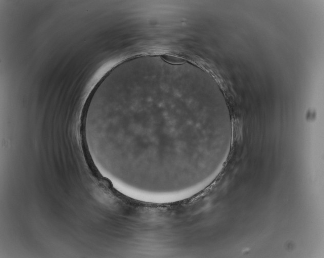 X0000101400147200808041049