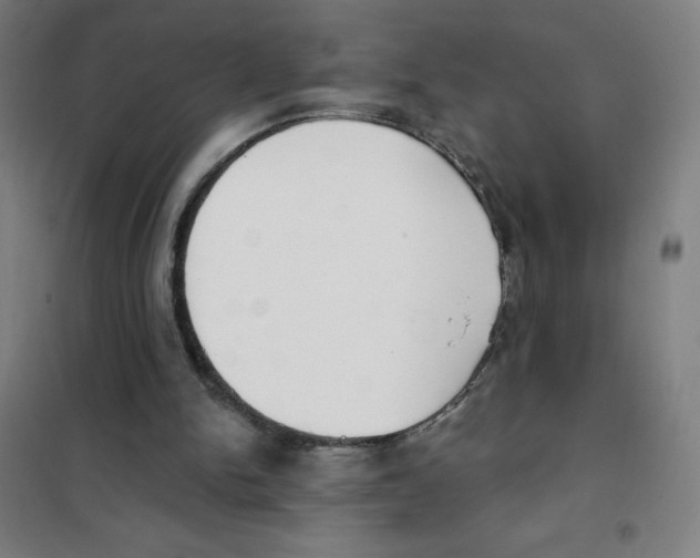 X0000101400150200808041049