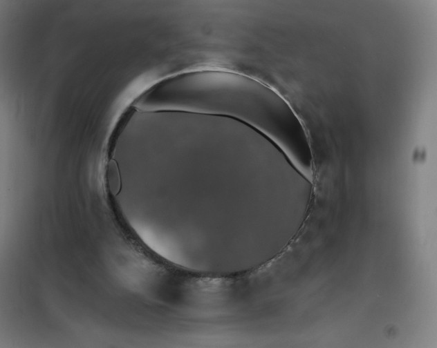 X0000101400152200808041049