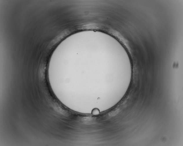 X0000101400153200808041049