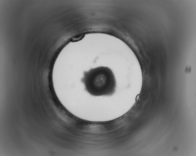 X0000101400154200808041049