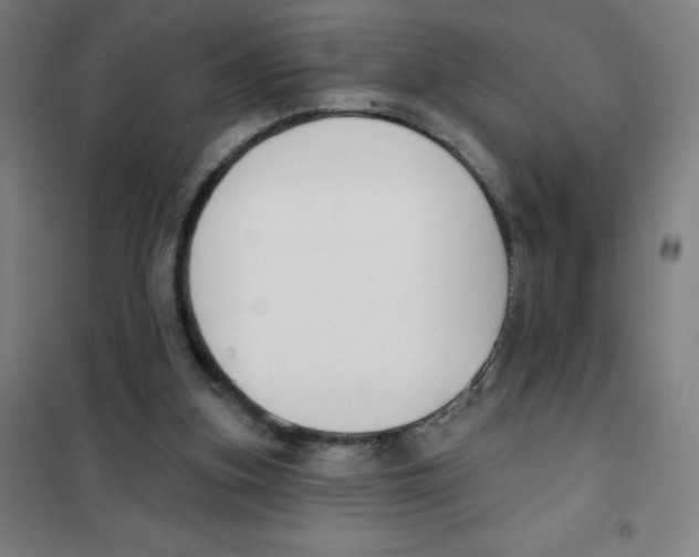 X0000101400155200808041049