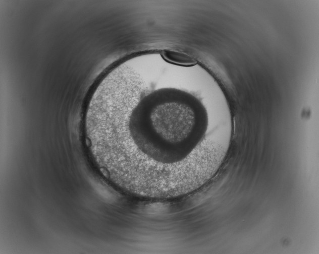 X0000101400156200808041049