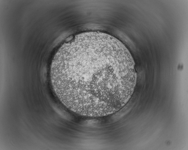 X0000101400158200808041049